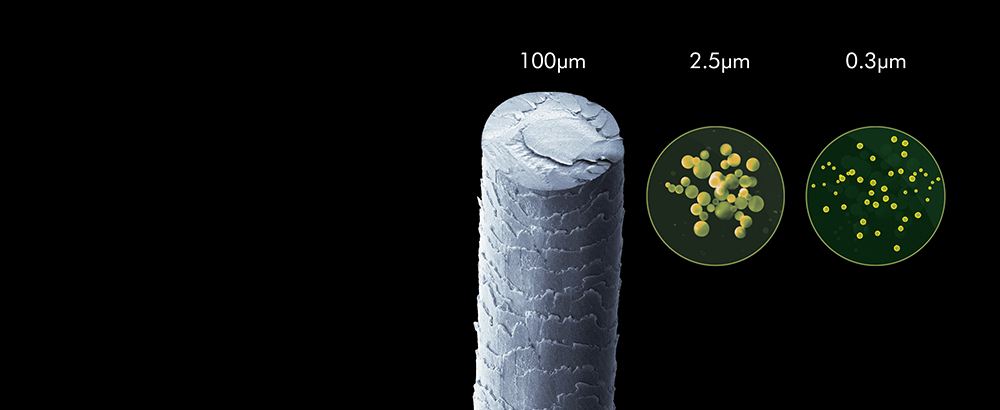Slika koja predstavlja vlas i druge manje čestice